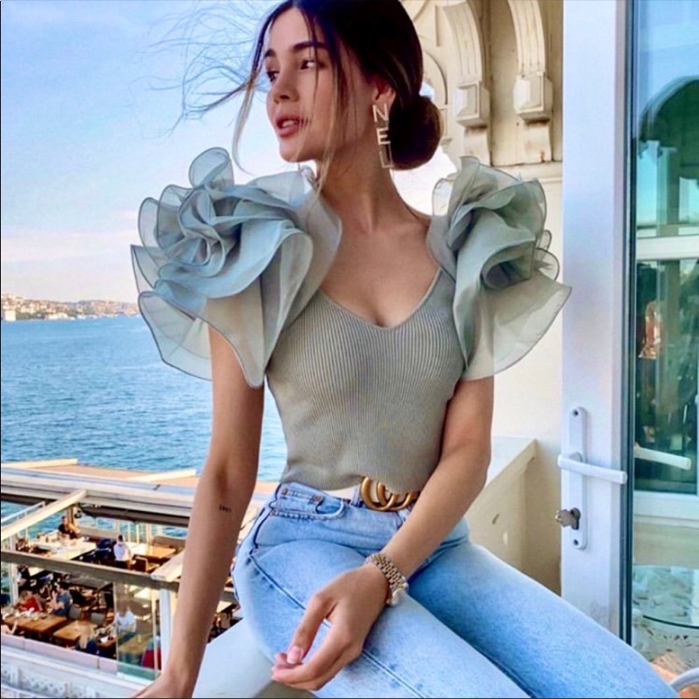 ZARA Crop Top with Organza puff sleeves